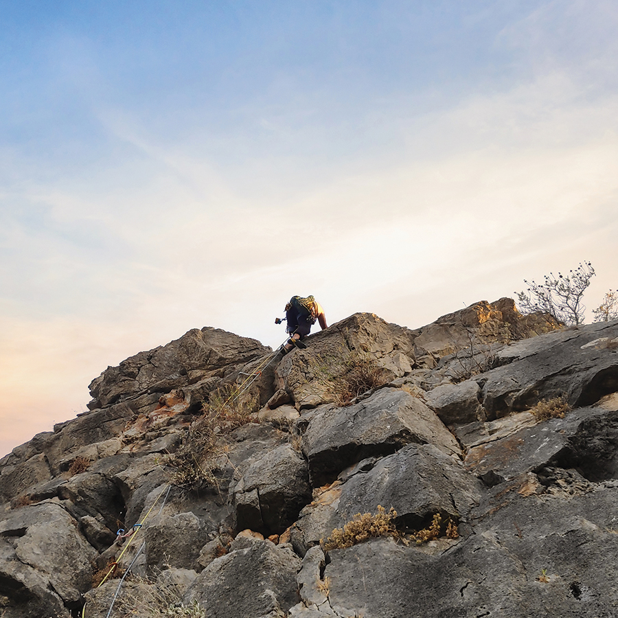 Dardiza_Bayby_Shitter_12