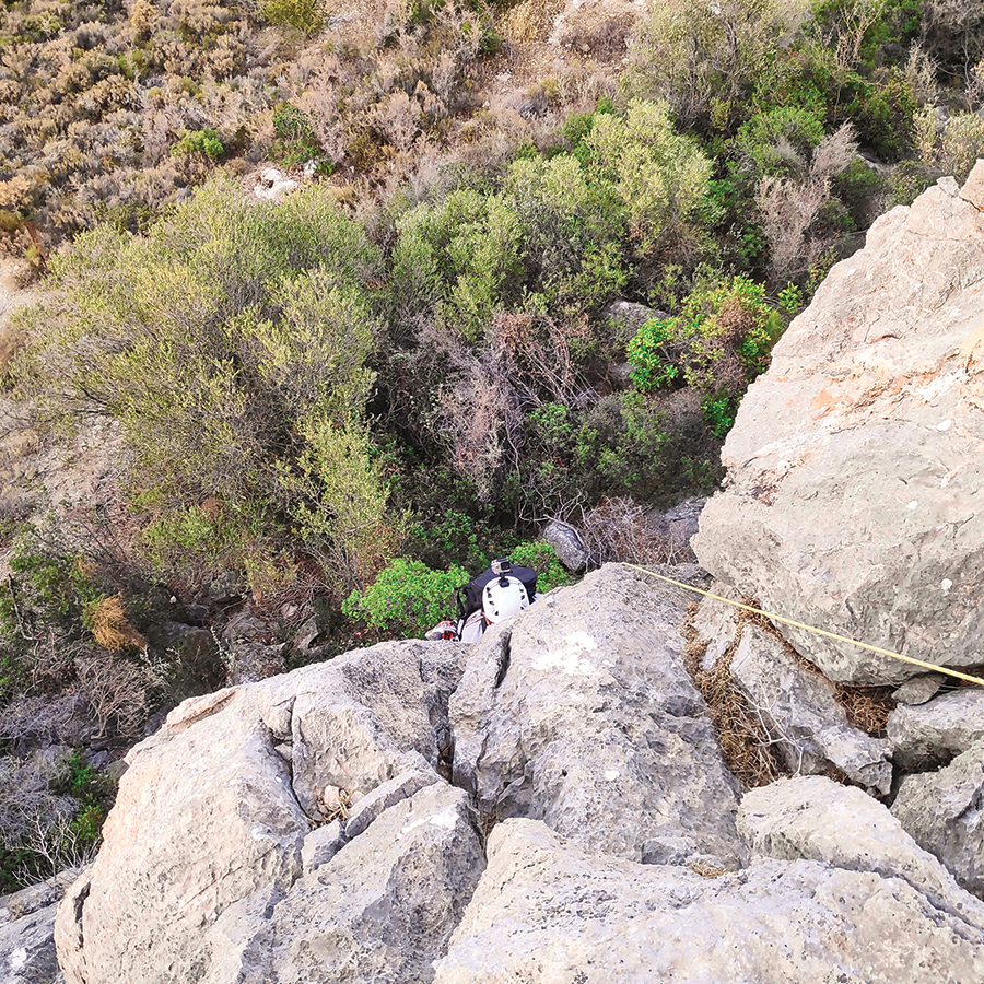 Dardiza_Bayby_Shitter_14