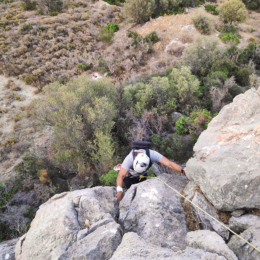 Dardiza_Bayby_Shitter_15