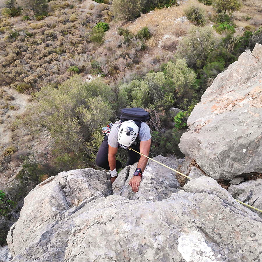 Dardiza_Bayby_Shitter_16