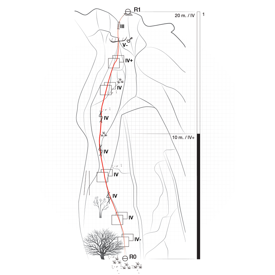 Dardiza_Bayby_Shitter_Topo