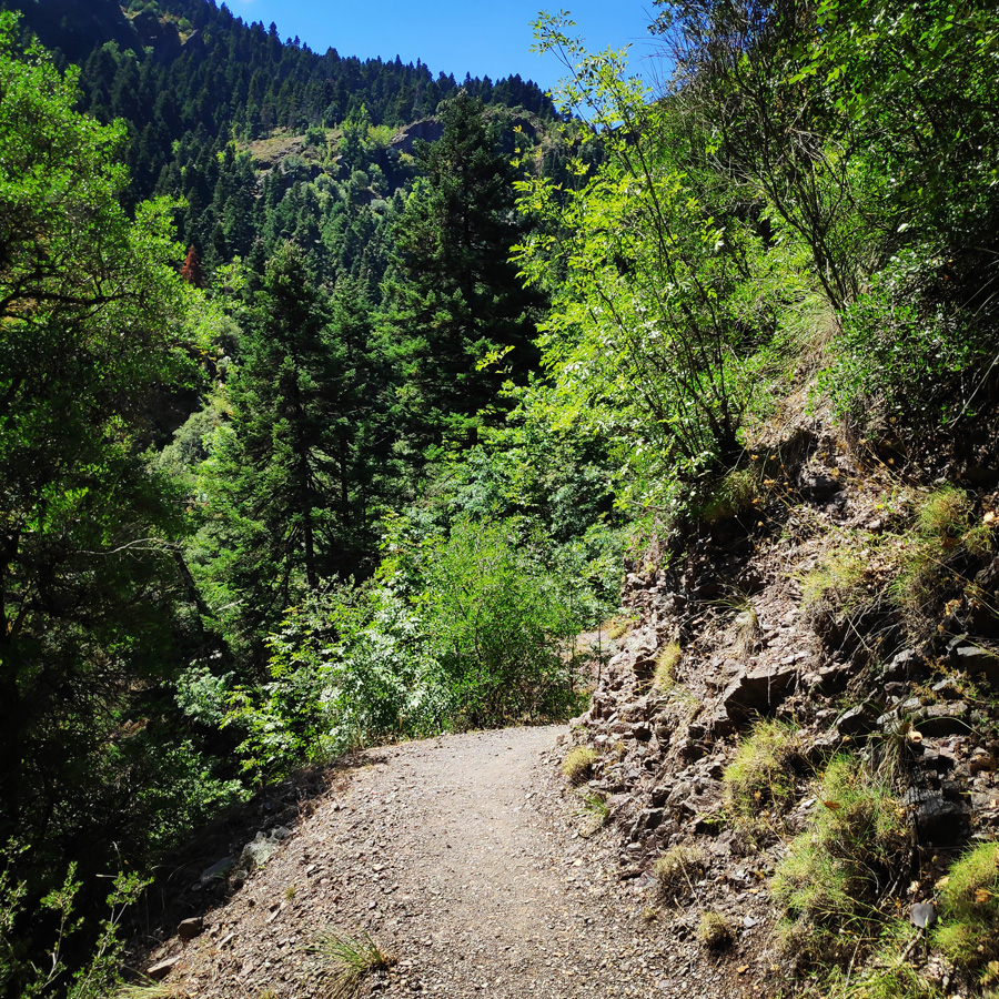 Hiking_Black_Cave_Evrytania_091950_315