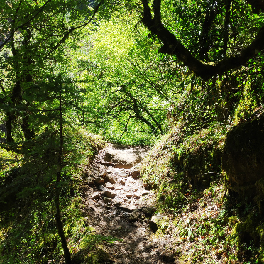 Hiking_Black_Cave_Evrytania_092003_411