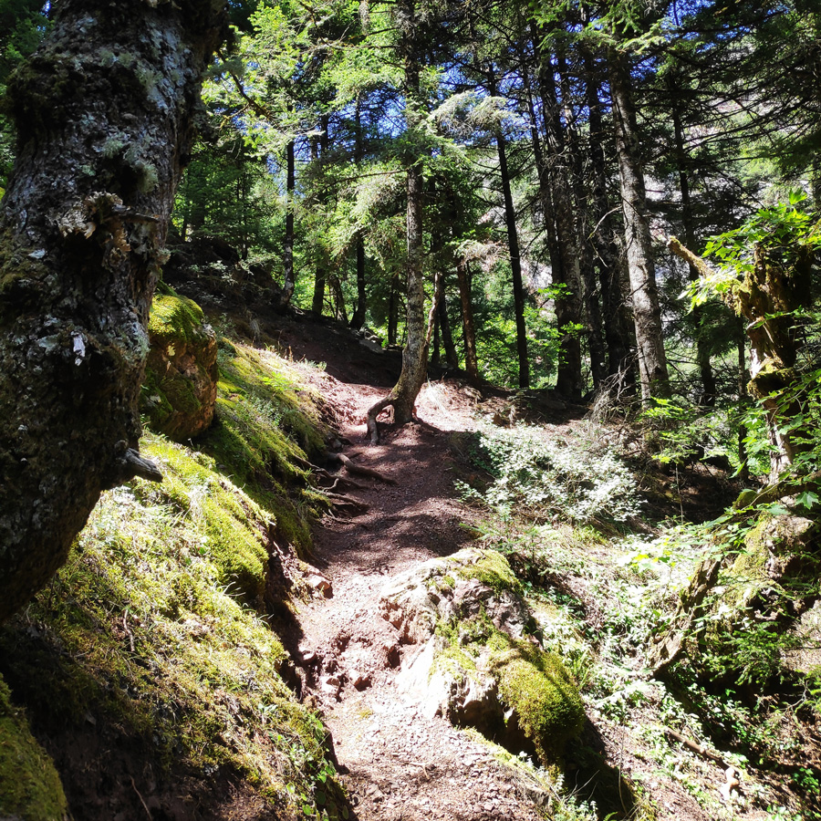 Hiking_Black_Cave_Evrytania_092213_057