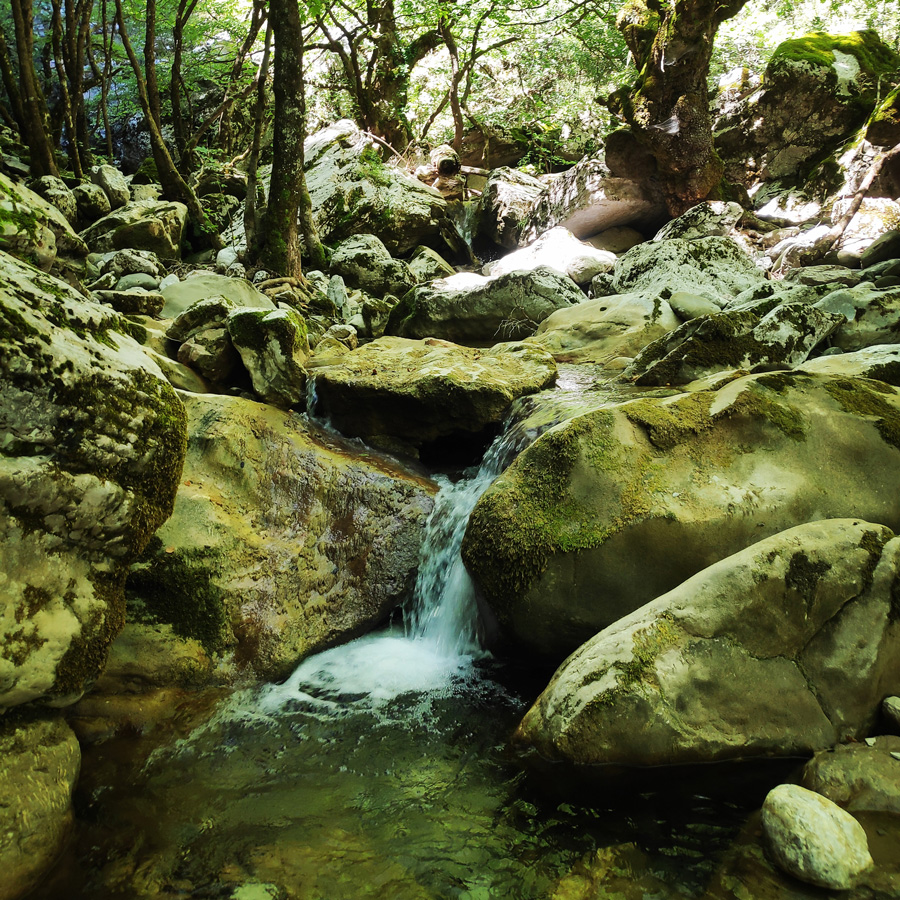 Hiking_Black_Cave_Evrytania_092248_440