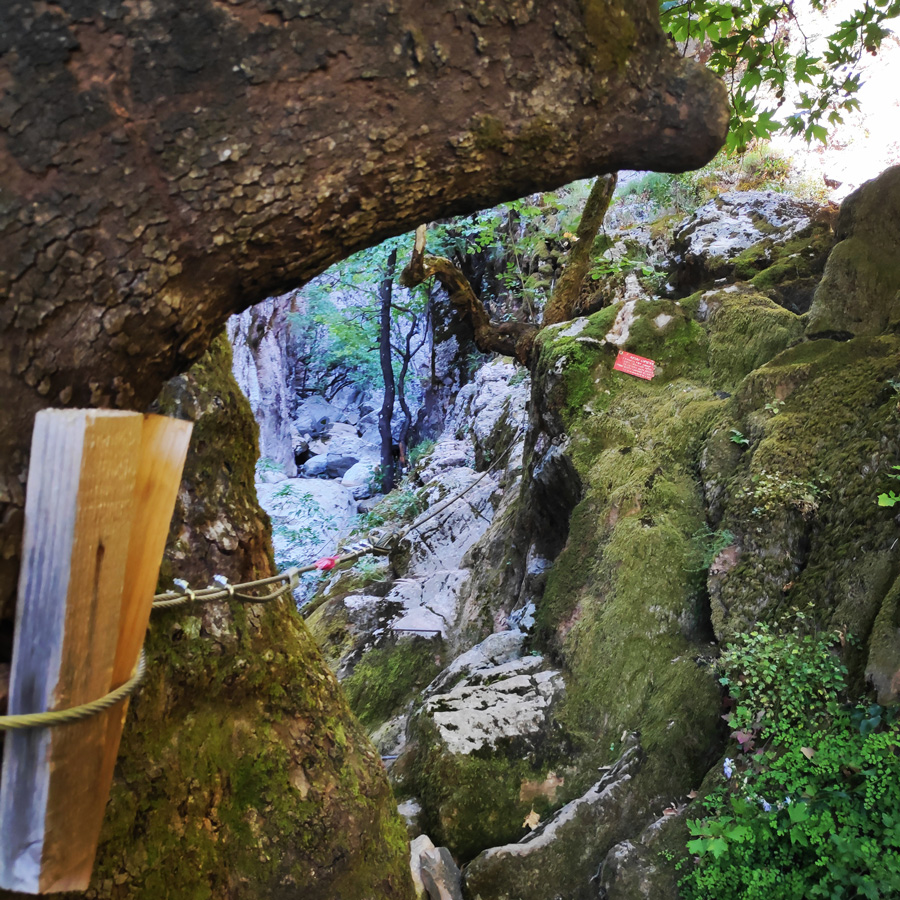 Hiking_Black_Cave_Evrytania_092606_992