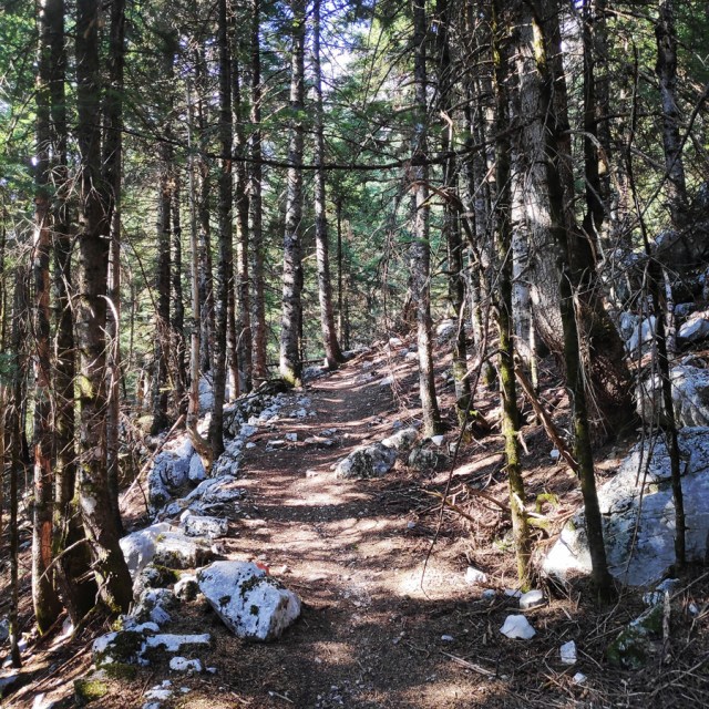 Hiking_Tzoumerka_Athamanika_Pramanta_Refuge_Kefalobriso_Waterfall_Melisourgi_Refuge_114819_498