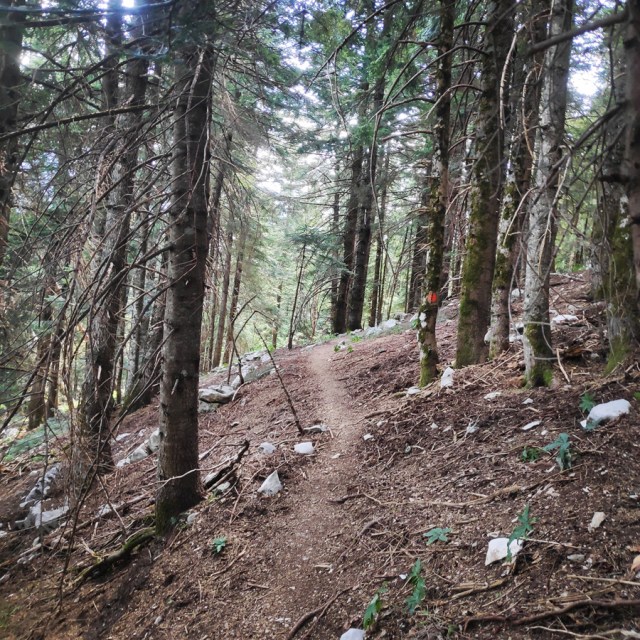 Hiking_Tzoumerka_Athamanika_Pramanta_Refuge_Kefalobriso_Waterfall_Melisourgi_Refuge_115531_420