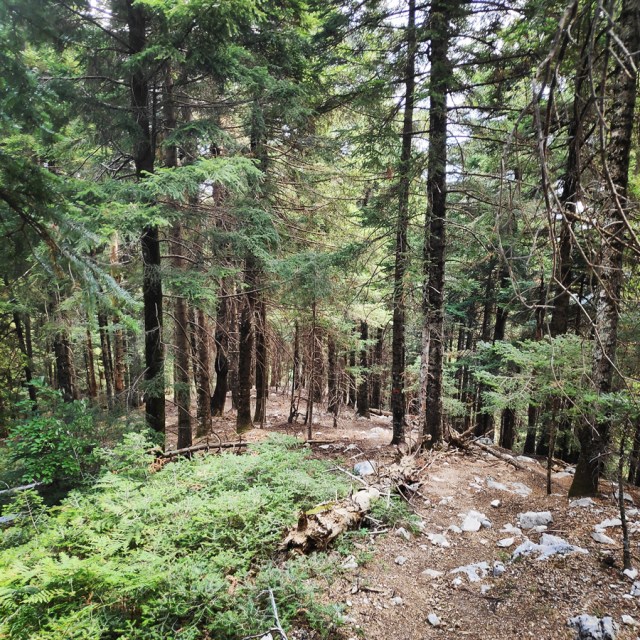 Hiking_Tzoumerka_Athamanika_Pramanta_Refuge_Kefalobriso_Waterfall_Melisourgi_Refuge_115553_951