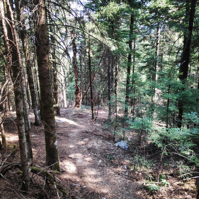 Hiking_Tzoumerka_Athamanika_Pramanta_Refuge_Kefalobriso_Waterfall_Melisourgi_Refuge_115617_281
