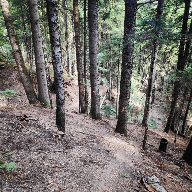 Hiking_Tzoumerka_Athamanika_Pramanta_Refuge_Kefalobriso_Waterfall_Melisourgi_Refuge_115631_929