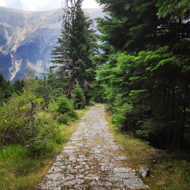 Hiking_Tzoumerka_Athamanika_Pramanta_Refuge_Kefalobriso_Waterfall_Melisourgi_Refuge_115733_098