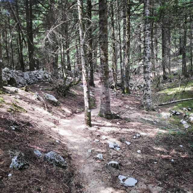 Hiking_Tzoumerka_Athamanika_Pramanta_Refuge_Kefalobriso_Waterfall_Melisourgi_Refuge_115935_343