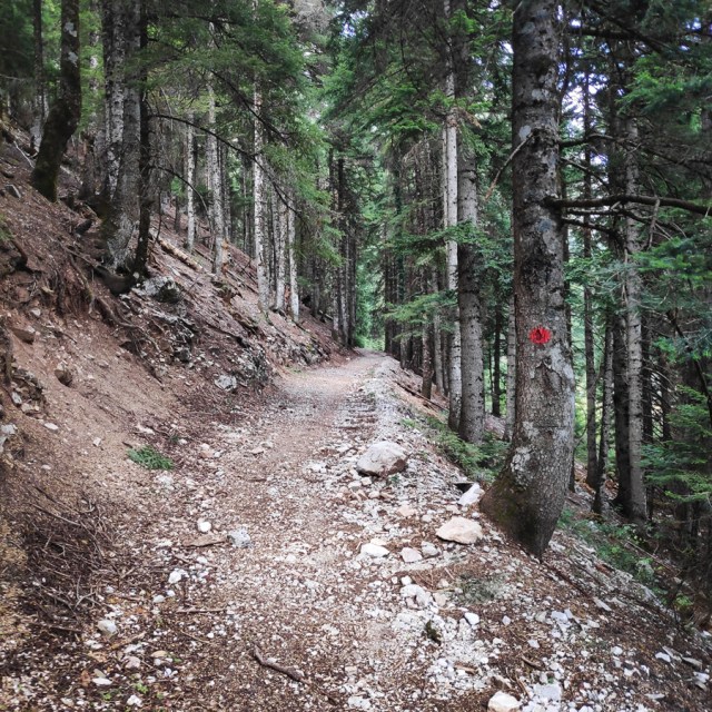 Hiking_Tzoumerka_Athamanika_Pramanta_Refuge_Kefalobriso_Waterfall_Melisourgi_Refuge_120030_029