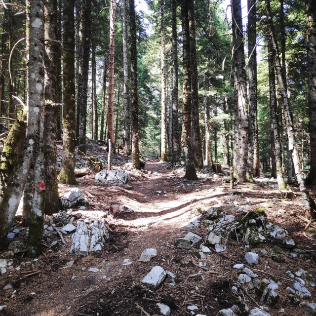 Hiking_Tzoumerka_Athamanika_Pramanta_Refuge_Kefalobriso_Waterfall_Melisourgi_Refuge_120119_532