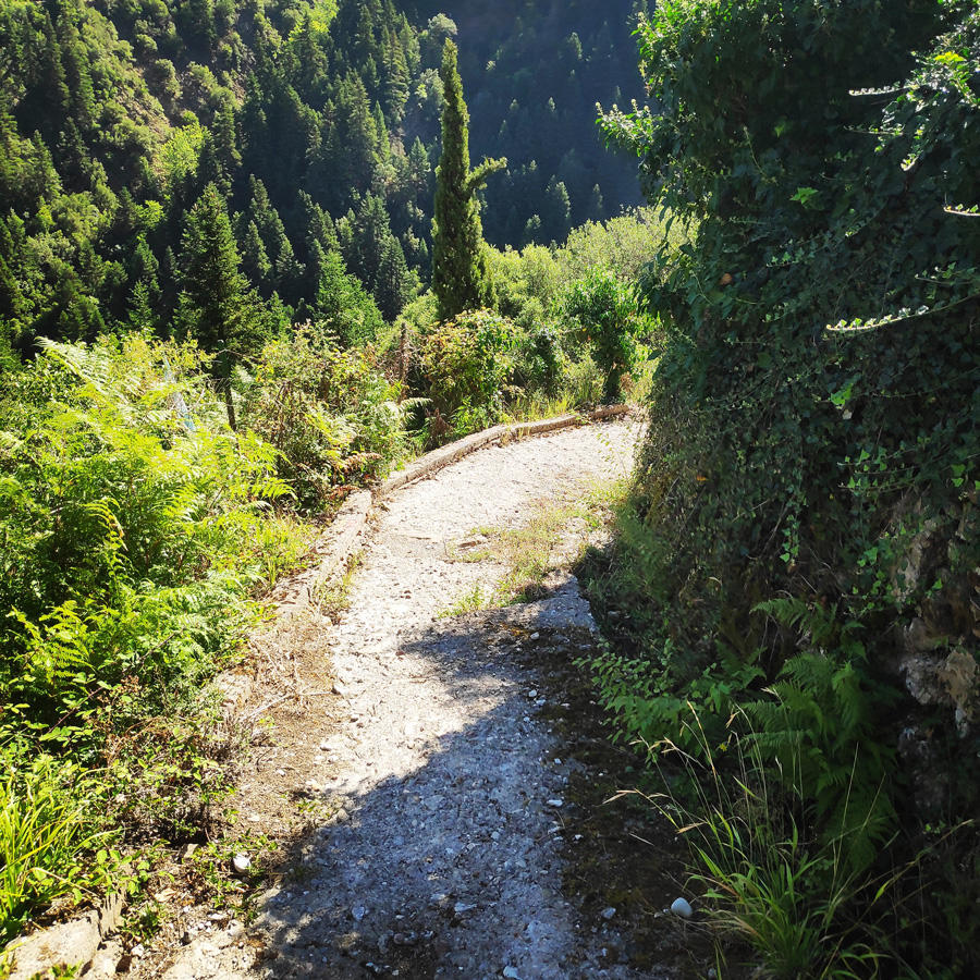 Mikro_Pantavrechi_Hiking_095823_273