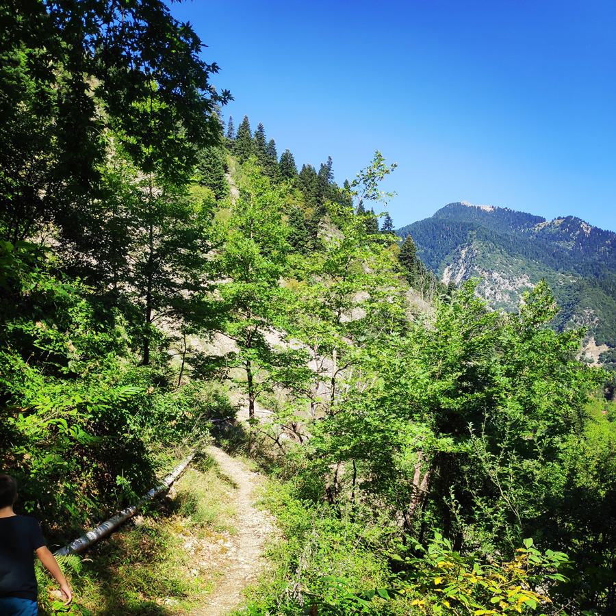 Mikro_Pantavrechi_Hiking_100020_485