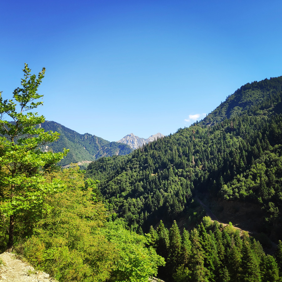 Mikro_Pantavrechi_Hiking_100056_386