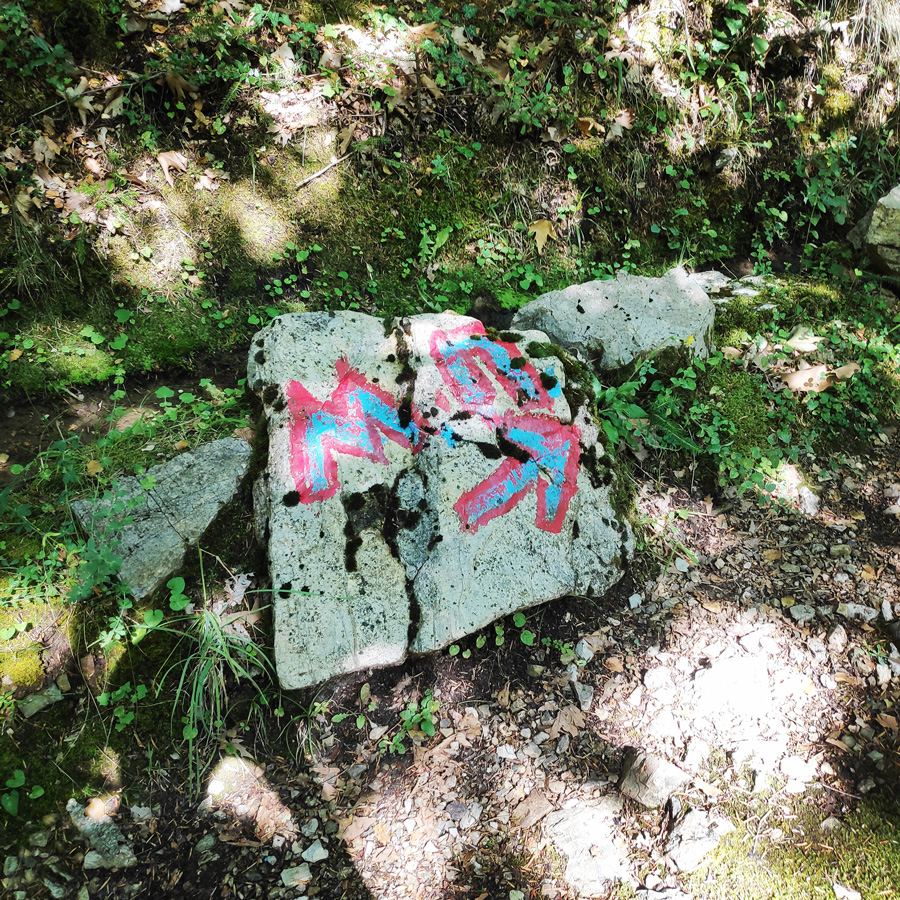 Mikro_Pantavrechi_Hiking_100119_641