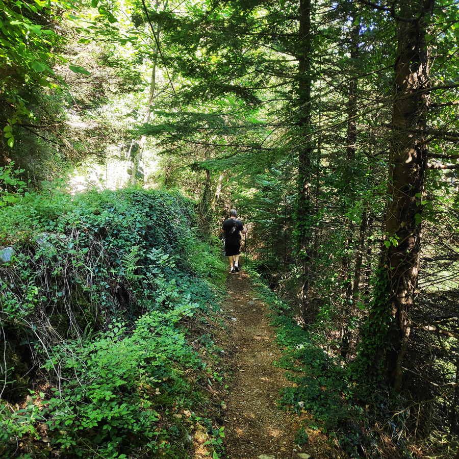 Mikro_Pantavrechi_Hiking_100138_883