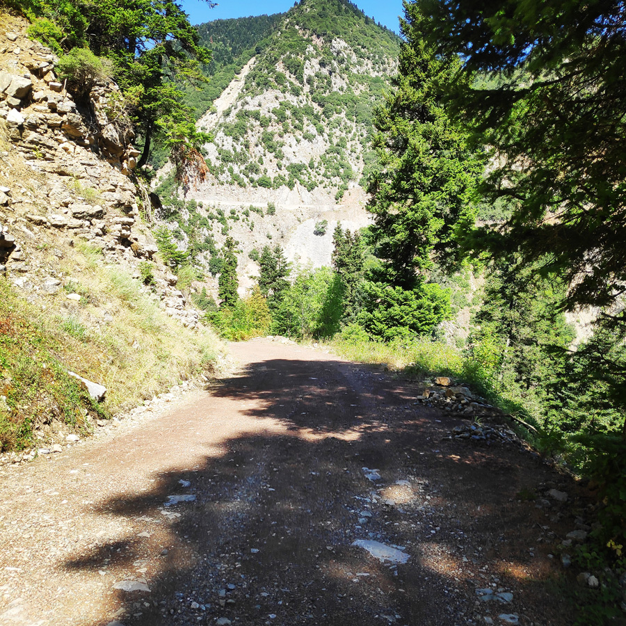 Mikro_Pantavrechi_Hiking_100253_356