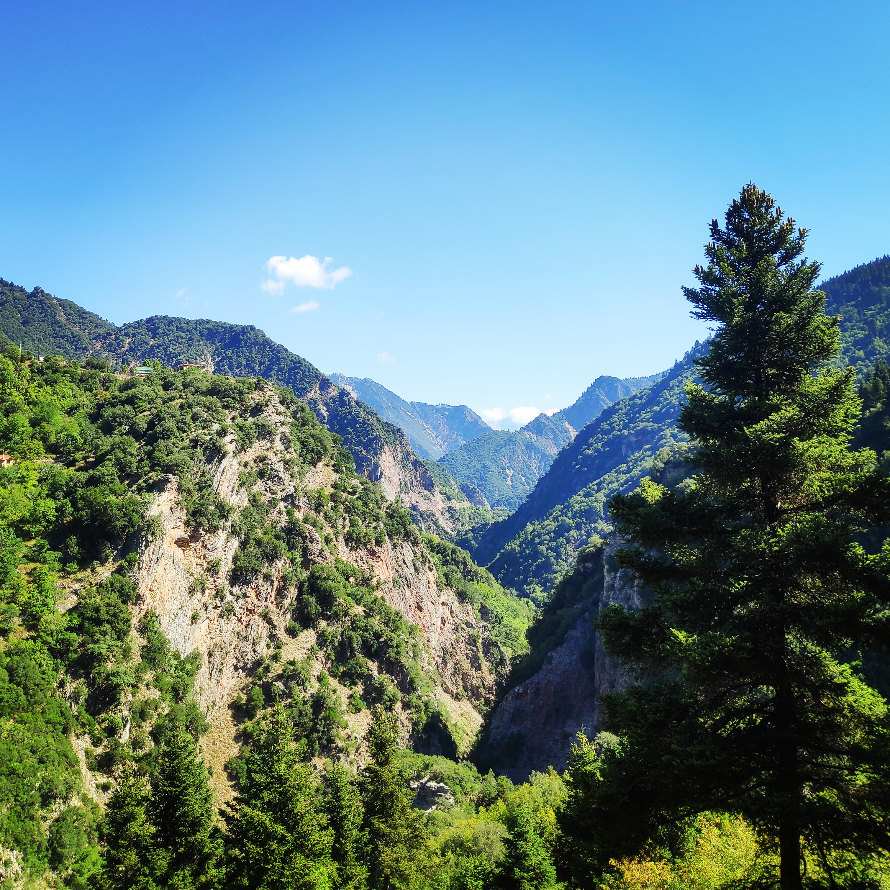 Mikro_Pantavrechi_Hiking_100253_357