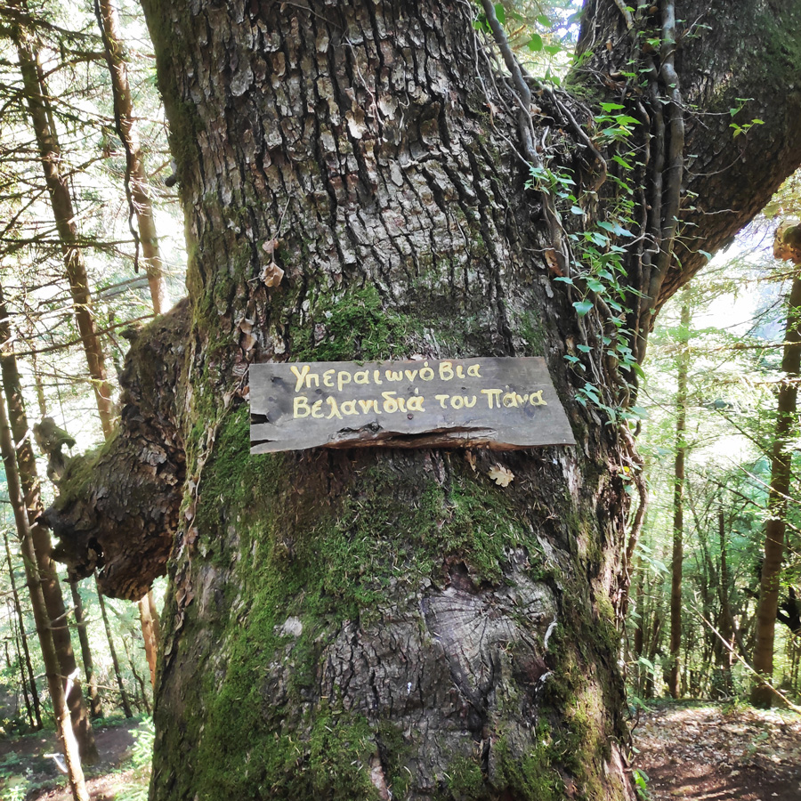 Mikro_Pantavrechi_Hiking_100416_034