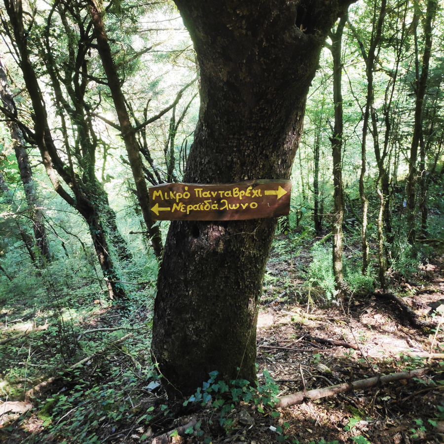 Mikro_Pantavrechi_Hiking_100604_121