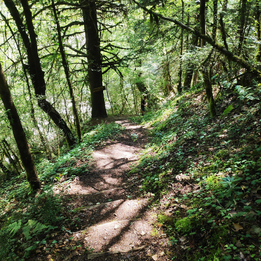 Mikro_Pantavrechi_Hiking_100625_203