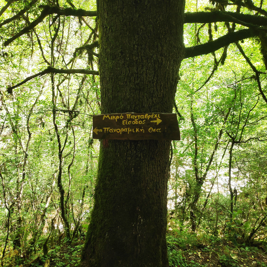 Mikro_Pantavrechi_Hiking_100650_832