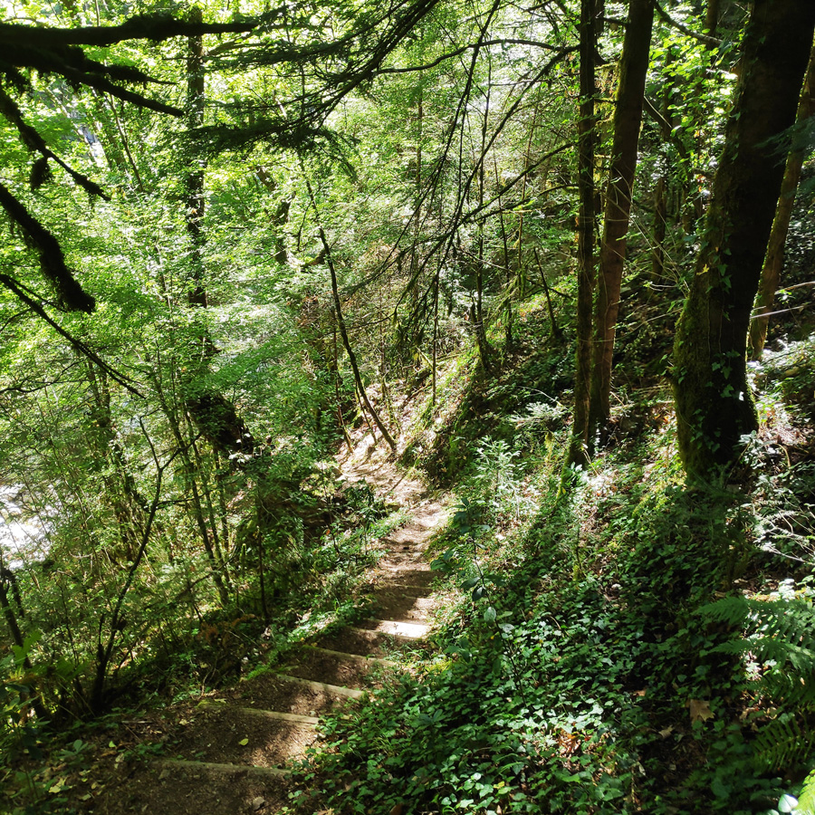 Mikro_Pantavrechi_Hiking_100707_958