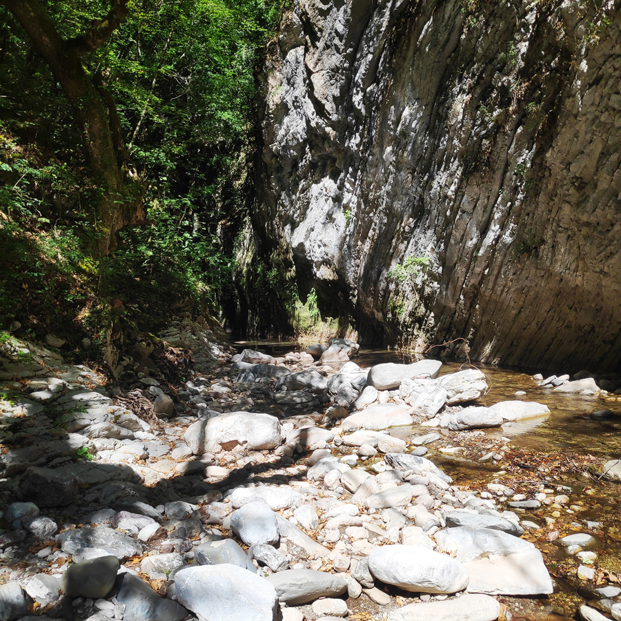 Mikro_Pantavrechi_Hiking_100728_633