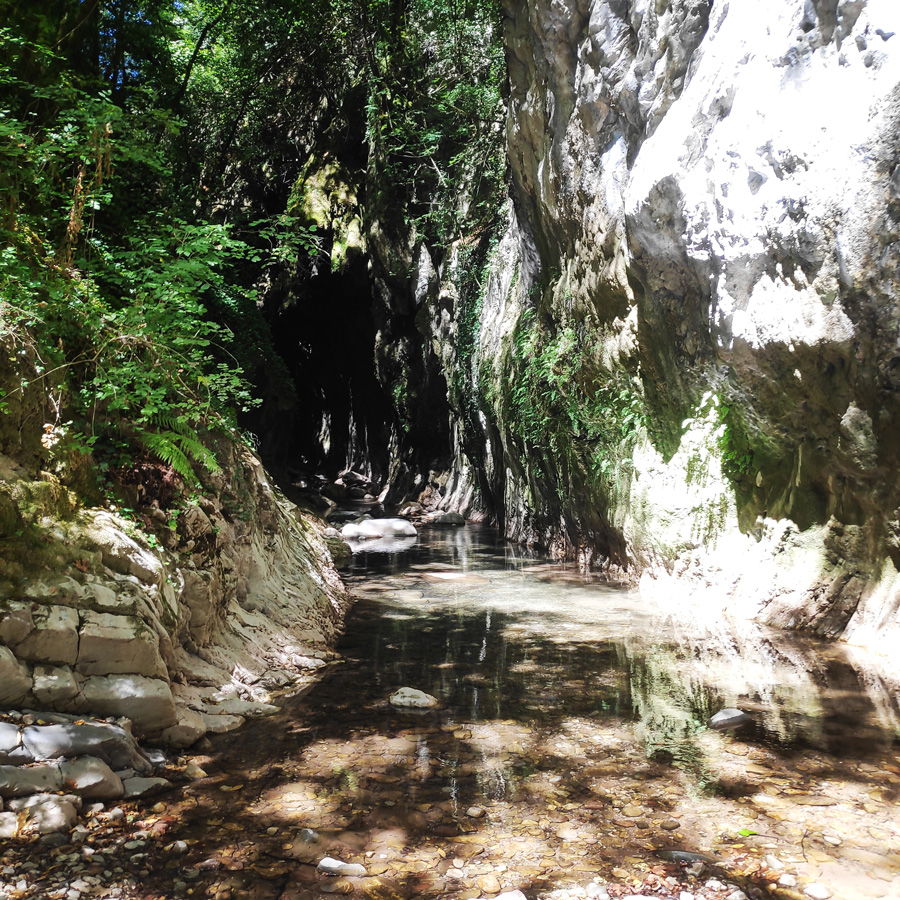 Mikro_Pantavrechi_Hiking_100748_000