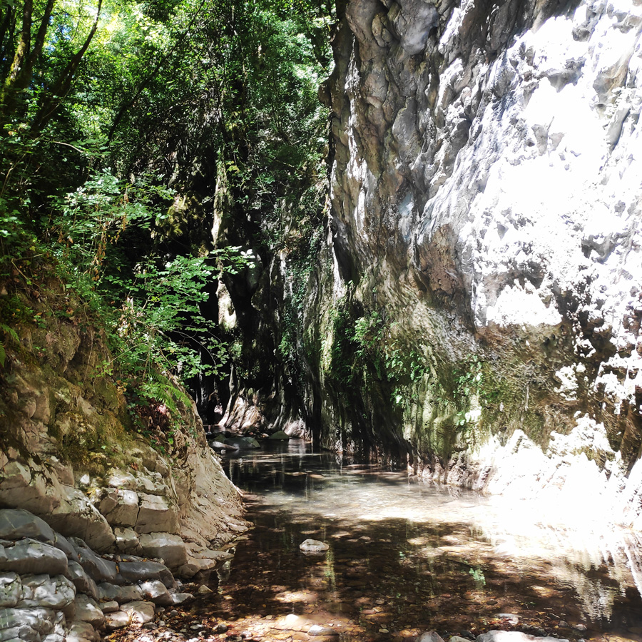 Mikro_Pantavrechi_Hiking_101038_711