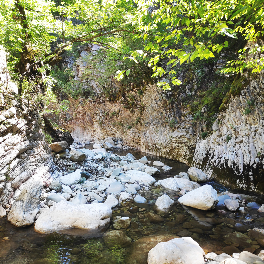 Mikro_Pantavrechi_Hiking_101056_544