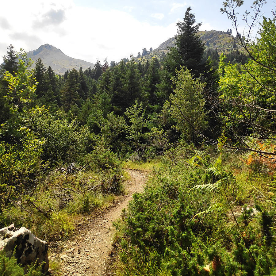 Rema_Marks_Theodoriana_Tzoumerka_Athamanika_Hiking_06