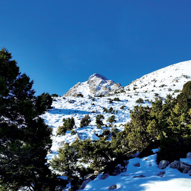 Winter_Mountaineering_Climb_Mountain_Artemiisio_North_West_Couloir_09