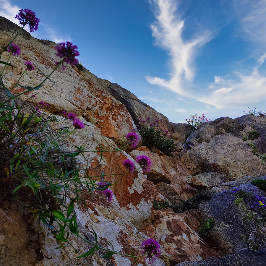 Ek_Tou_Anasfalous_Web_Images_22