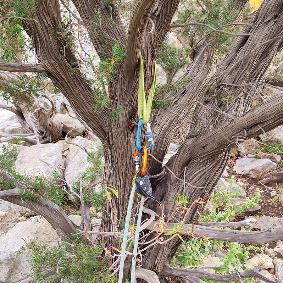 Alcyone_Pleiades_Crag_Katafyki_Ermionida_38