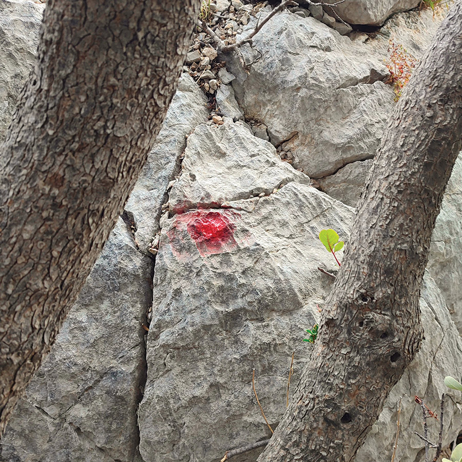 Alcyone_Pleiades_Crag_Katafyki_Ermionida_39