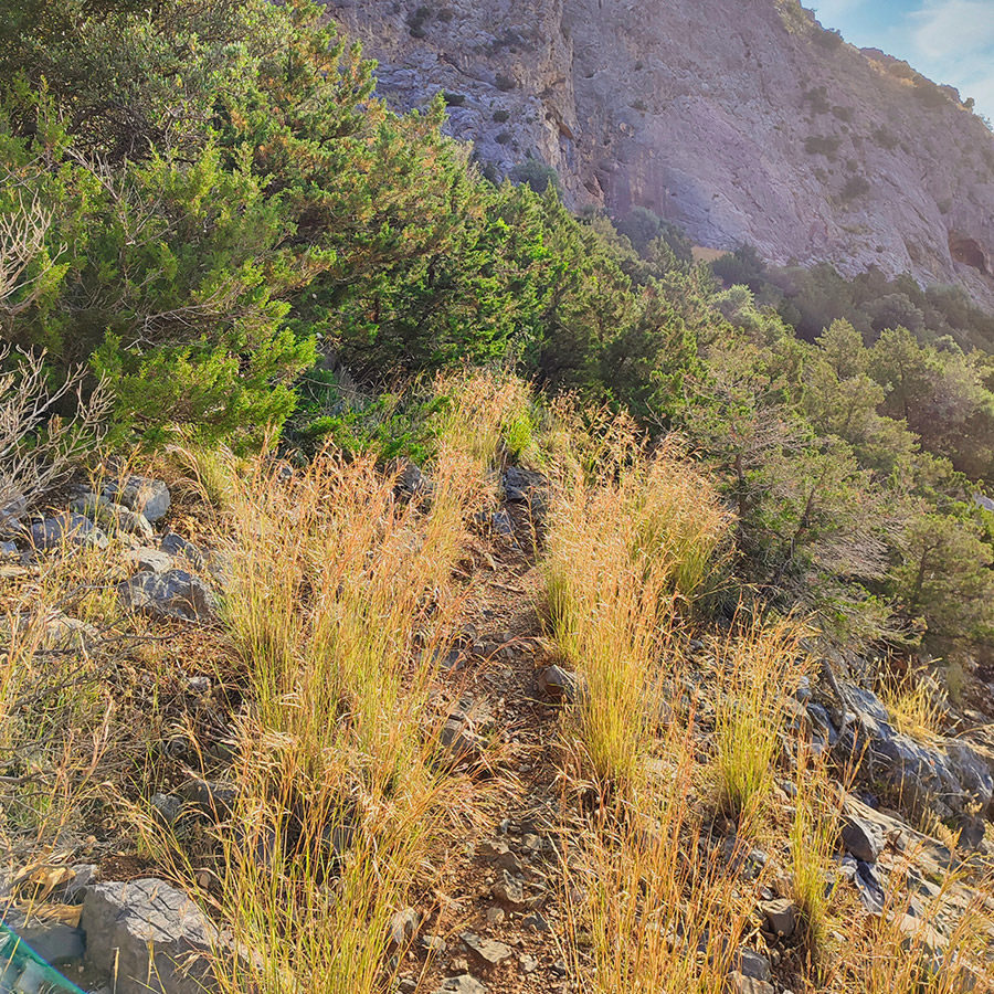 Climbing_Manikia_Lower_Valley_Evia_All_The_Universe_Sector_03