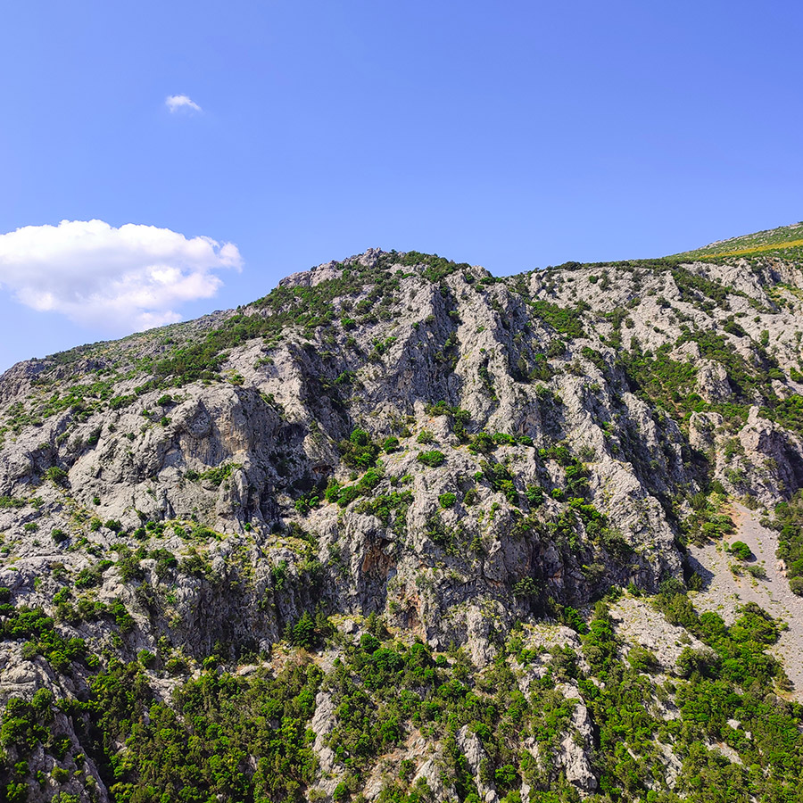 Climbing_Manikia_Vrisi_Evia_Pehnidia_Sector_02