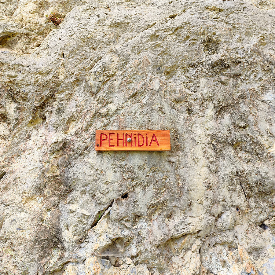 Climbing_Manikia_Vrisi_Evia_Pehnidia_Sector_10