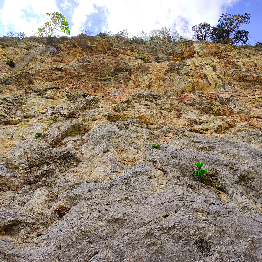 Climbing_Manikia_Vrisi_Evia_Pehnidia_Sector_11