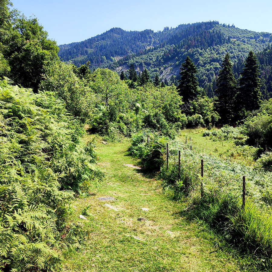 Hiking_Captain's_Bath_Vourgareli_South_Tzoumerka_Athamanika_10