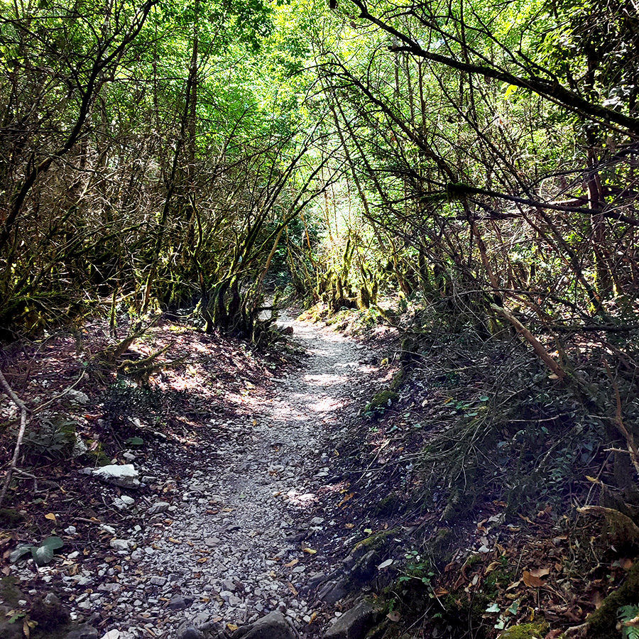 Hiking_Orlias_Stream_red_rock_waterfall_Mount_Olympus_09