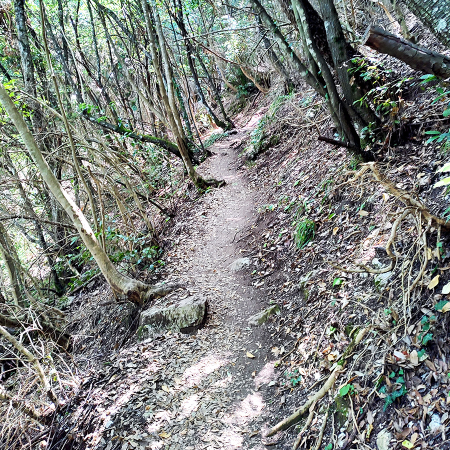 Hiking_Orlias_Stream_red_rock_waterfall_Mount_Olympus_17