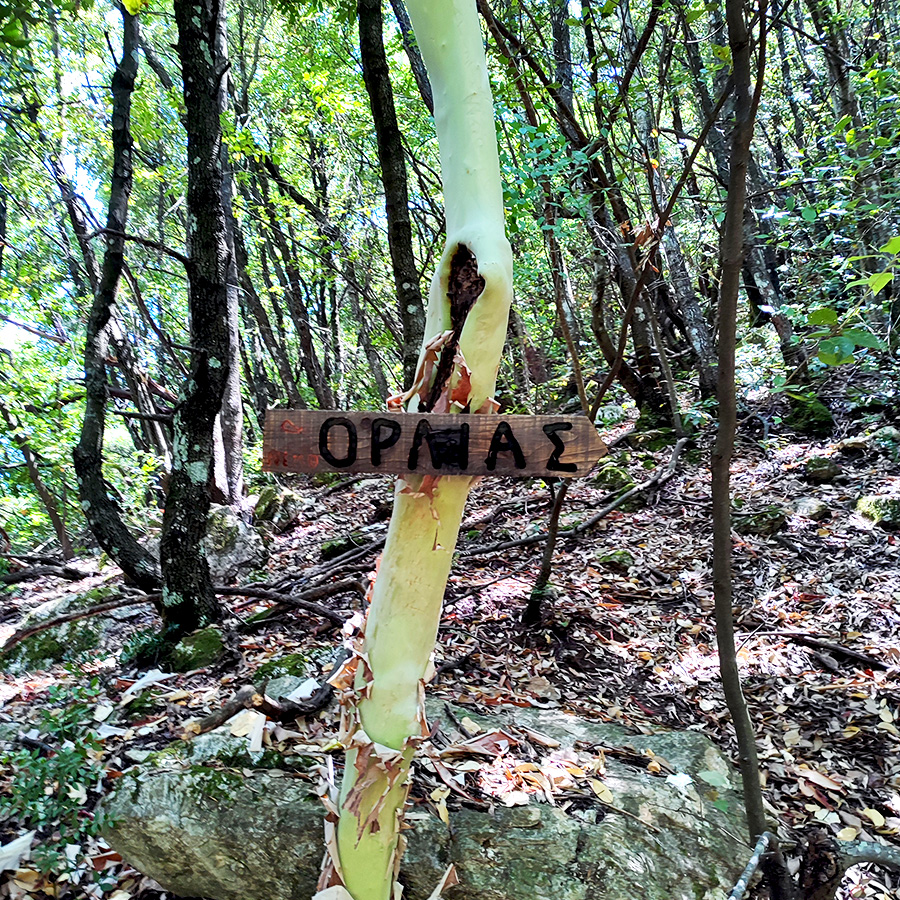 Hiking_Orlias_Stream_red_rock_waterfall_Mount_Olympus_18