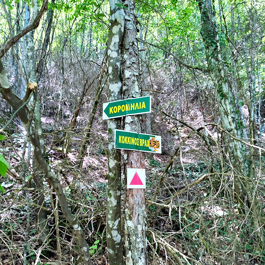 Hiking_Orlias_Stream_red_rock_waterfall_Mount_Olympus_19