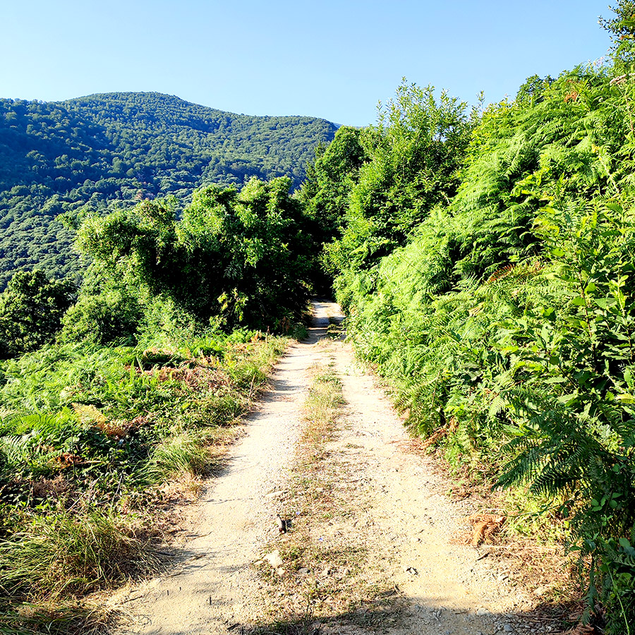 Hiking_Pelio_Kissos_Tympanos_Springs_Waterfall_04